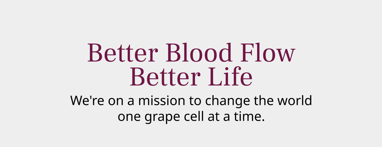 Better Blood Flow Better Life