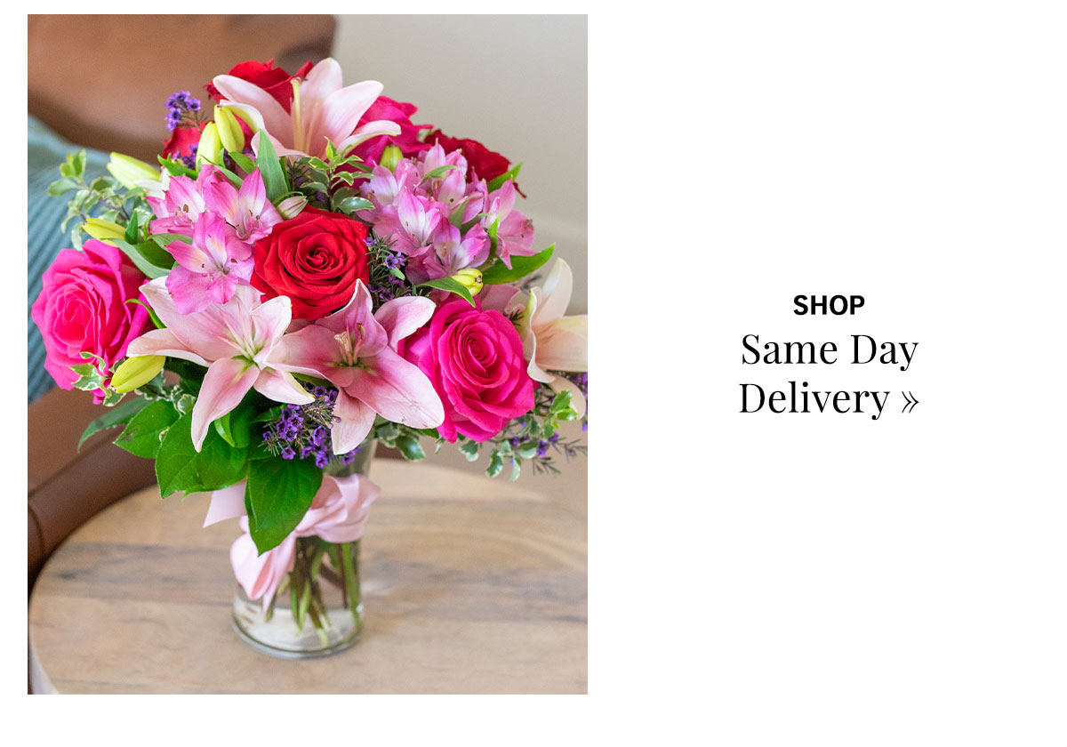 Shop Same Day Delivery »