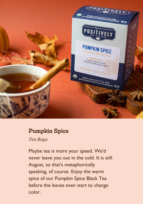 Pumpkin Spice Tea Bags. Maybe tea is more your speed. We'd never leave you out in the cold. It is still August, so that's metaphorically speaking, of course. Enjoy the warm spice of our Pumpkin Spice Black Tea before the leaves even start to change color.