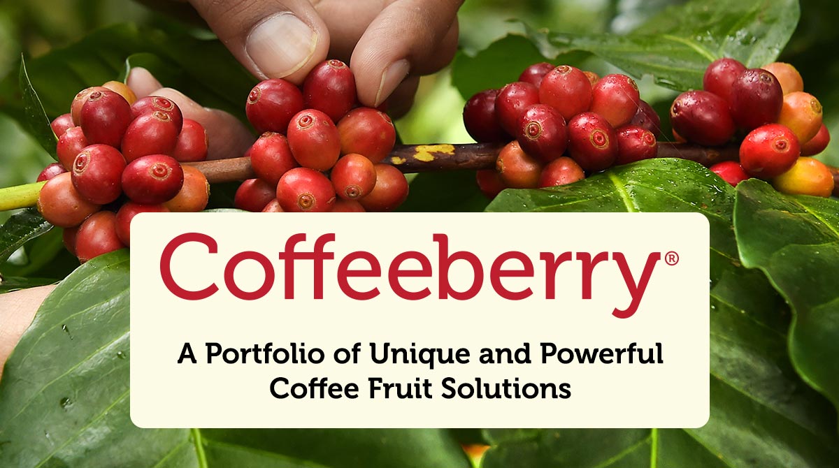 coffeeberry portfolio