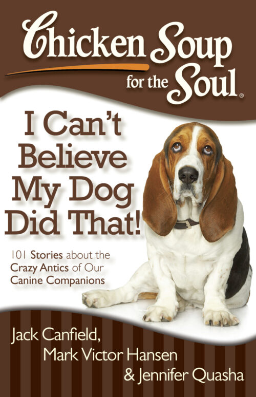 Chicken Soup for the Soul book cover image