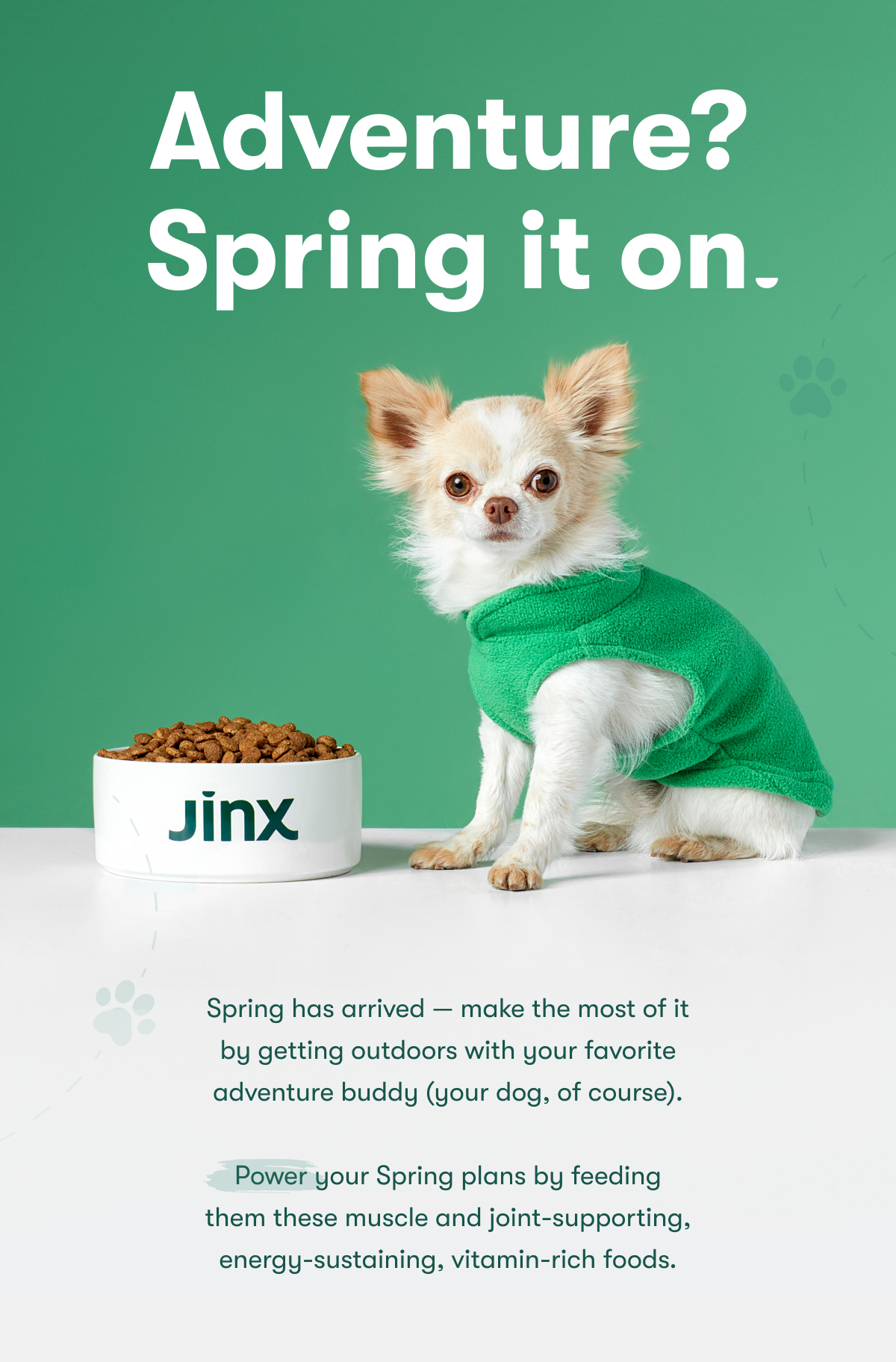 Adventure? Spring it on. Warmer days mean more outdoor time with your favorite adventure buddy (your dog, of course). Power your Spring plans by feeding them these muscle and joint-supporting, energy-sustaining, vitamin-rich foods.