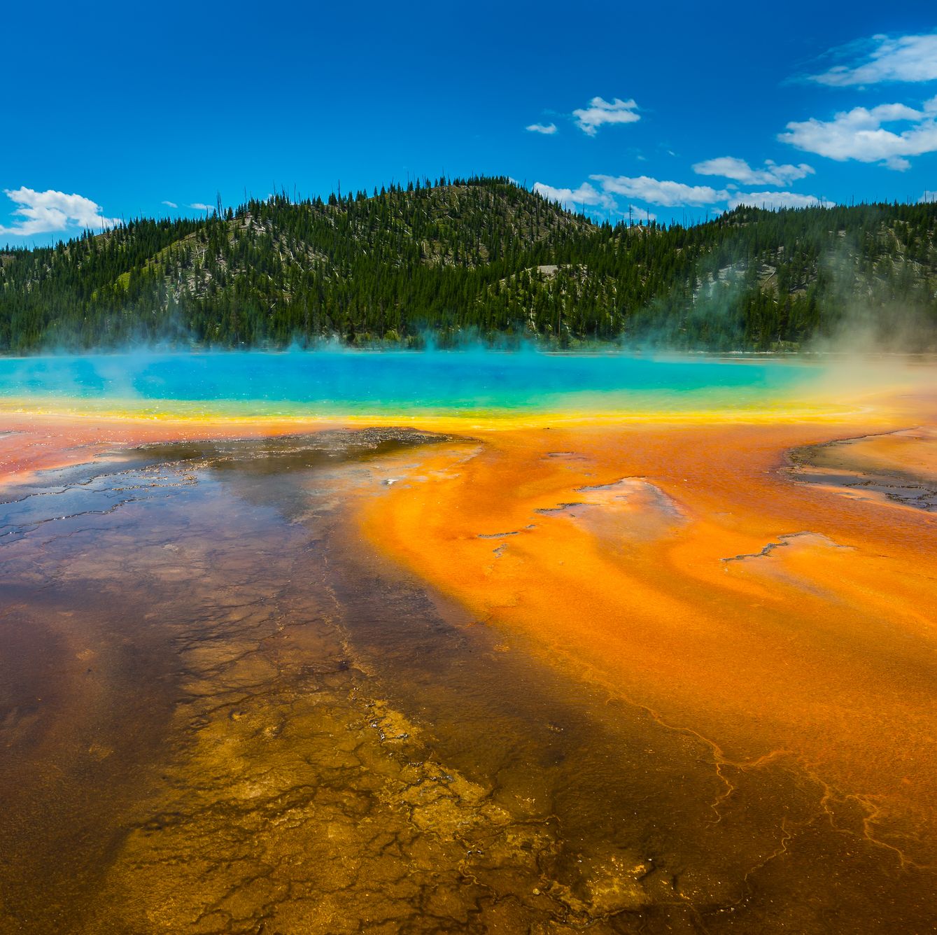 The Perfect Yellowstone Itinerary for Your Next Trip