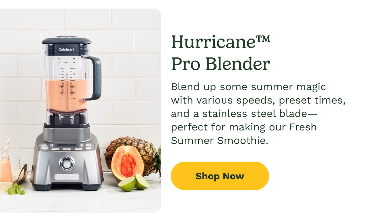 Hurricane™ Pro Blender