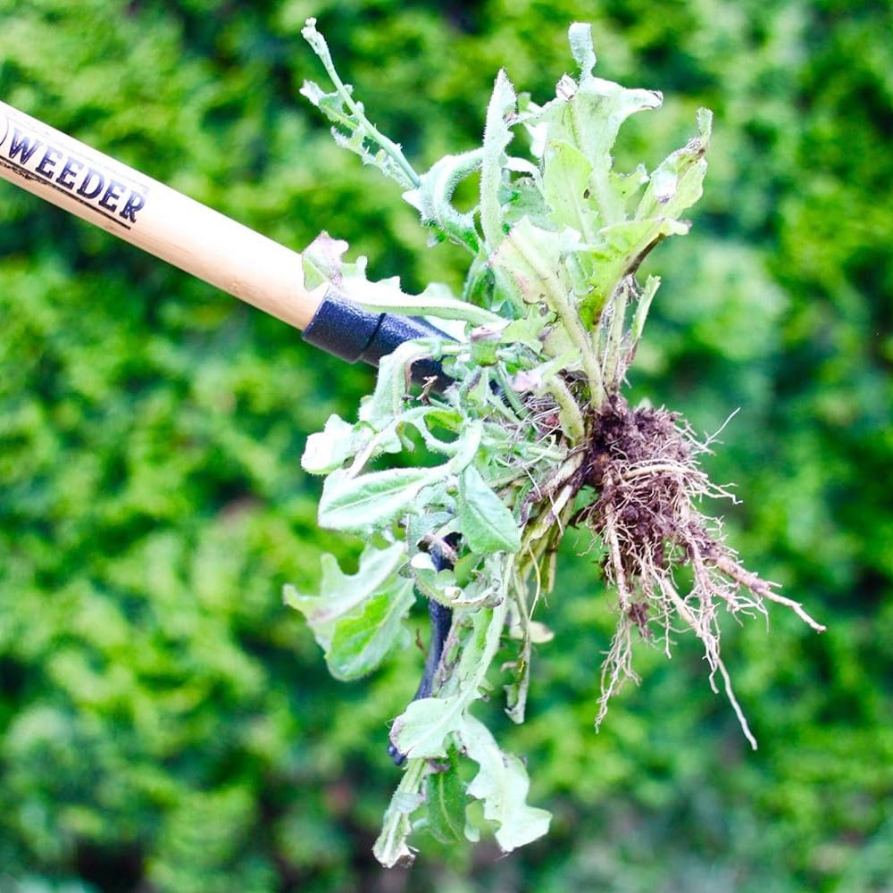 The 56 Best Things to Buy on Amazon, Including This Insanely Effective Weeder