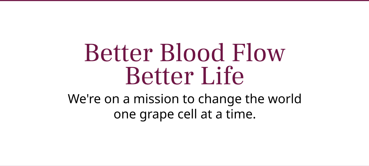 Better Blood Flow Better Life