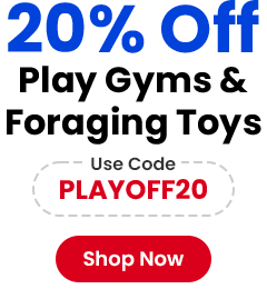 20% Off Play Gyms & Foraging Toys - Use Code PLAYOFF20 - Shop Now