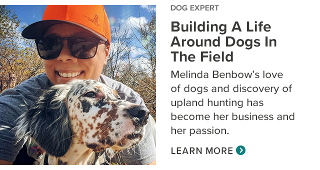 Building a life around Dogs in the Field Melinda Benbow's love of dogd and discovery of upland hunting has become her business and her passion