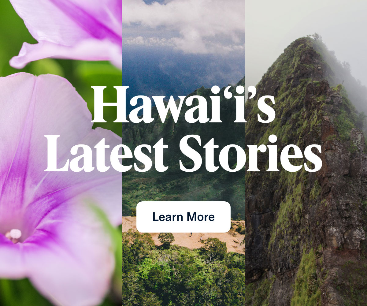 Hawai'i's Latest Stories