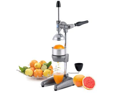 Manual Juice Press