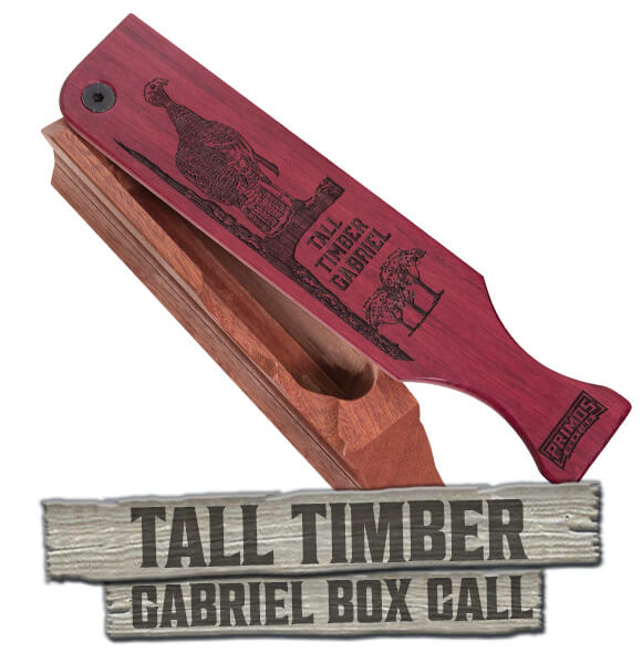 Tall Timber Gabriel