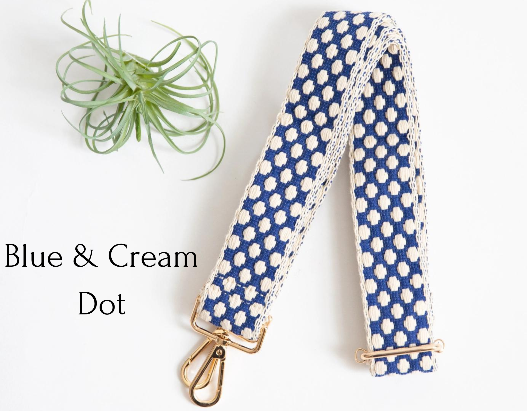 Blue & Cream Dot