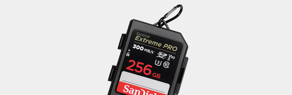 SanDisk® Memory Card Case