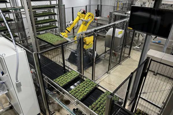 🥗 Indoor Farms Scale Up Operations