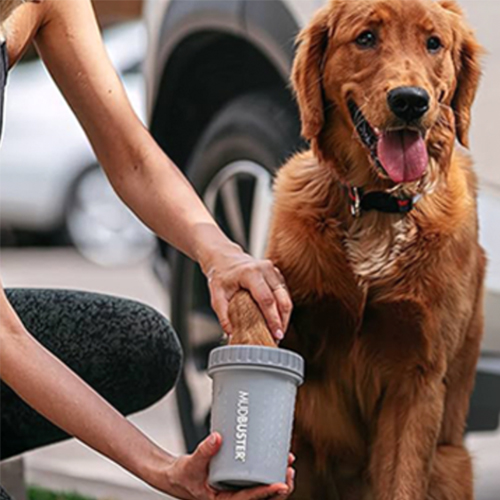 The MudBuster Will Stop Your Dog from Tracking Dirt Inside the House