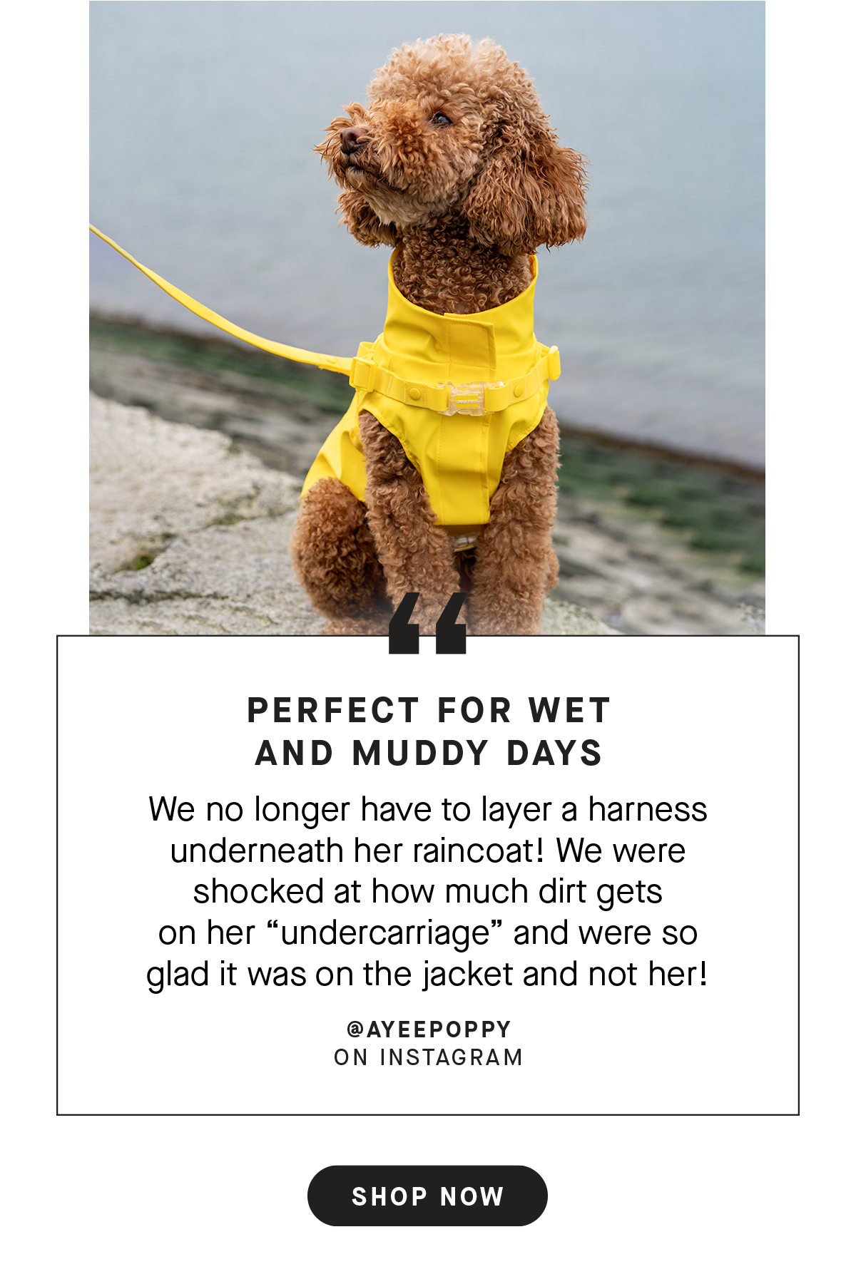 Harness Raincoat