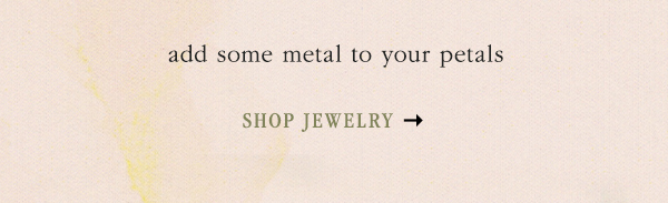 shop jewelry