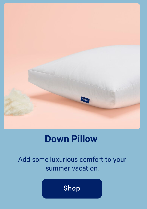 Down Pillow >> Shop >>