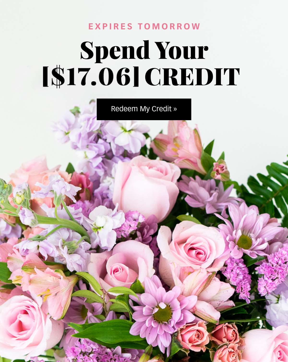 Use Your Earned [$17.06] Credit »