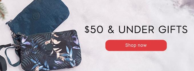 gifts under $50 shop now