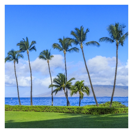 Summer Road Trip Time In Kaanapali