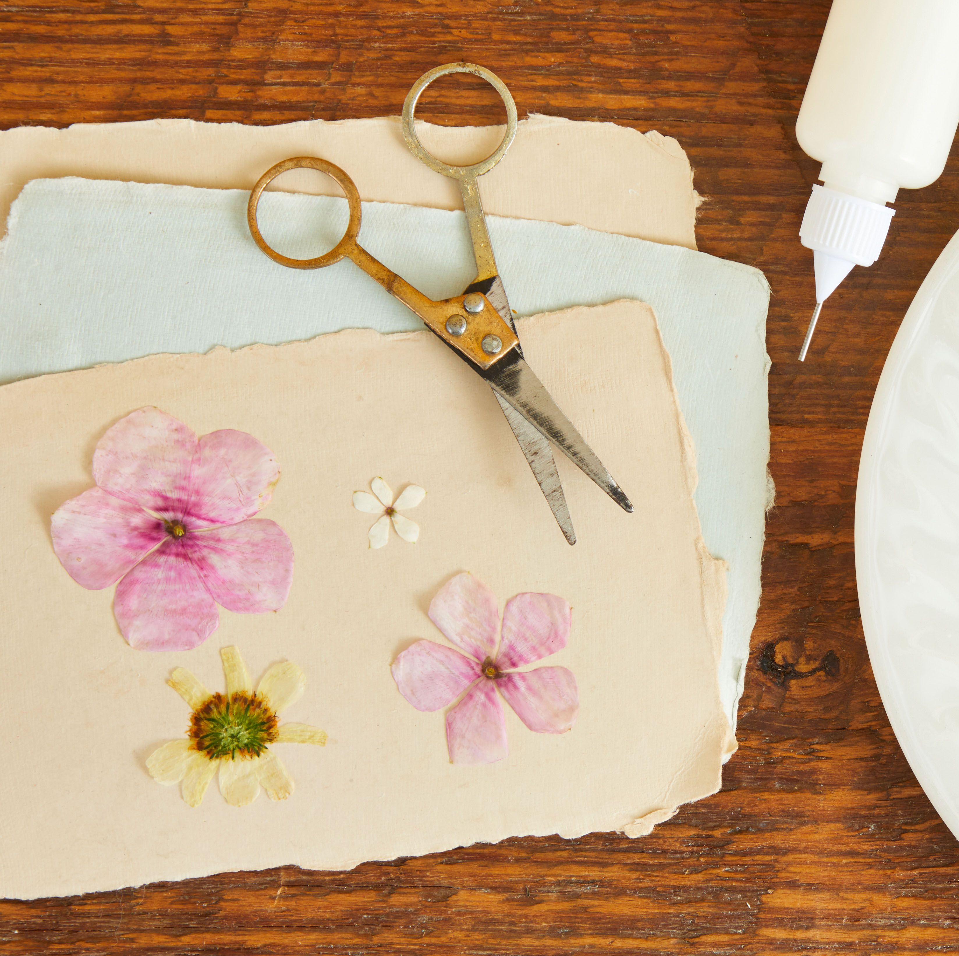 How to Press Flowers and Preserve Their Color and Shape