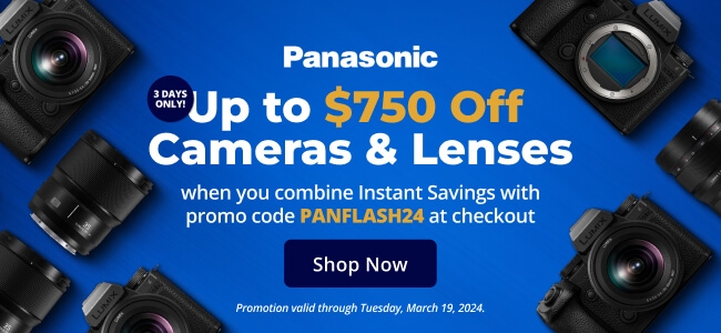 Panasonic flash sale