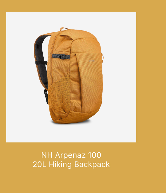 Quechua NH Arpenaz 100 20 L Hiking Backpack