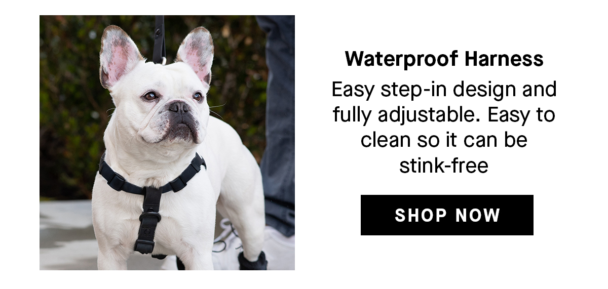 Waterproof Harness: Easy step-in design and full adjustable. Easy to clean so it can be stink-free. Shop Now