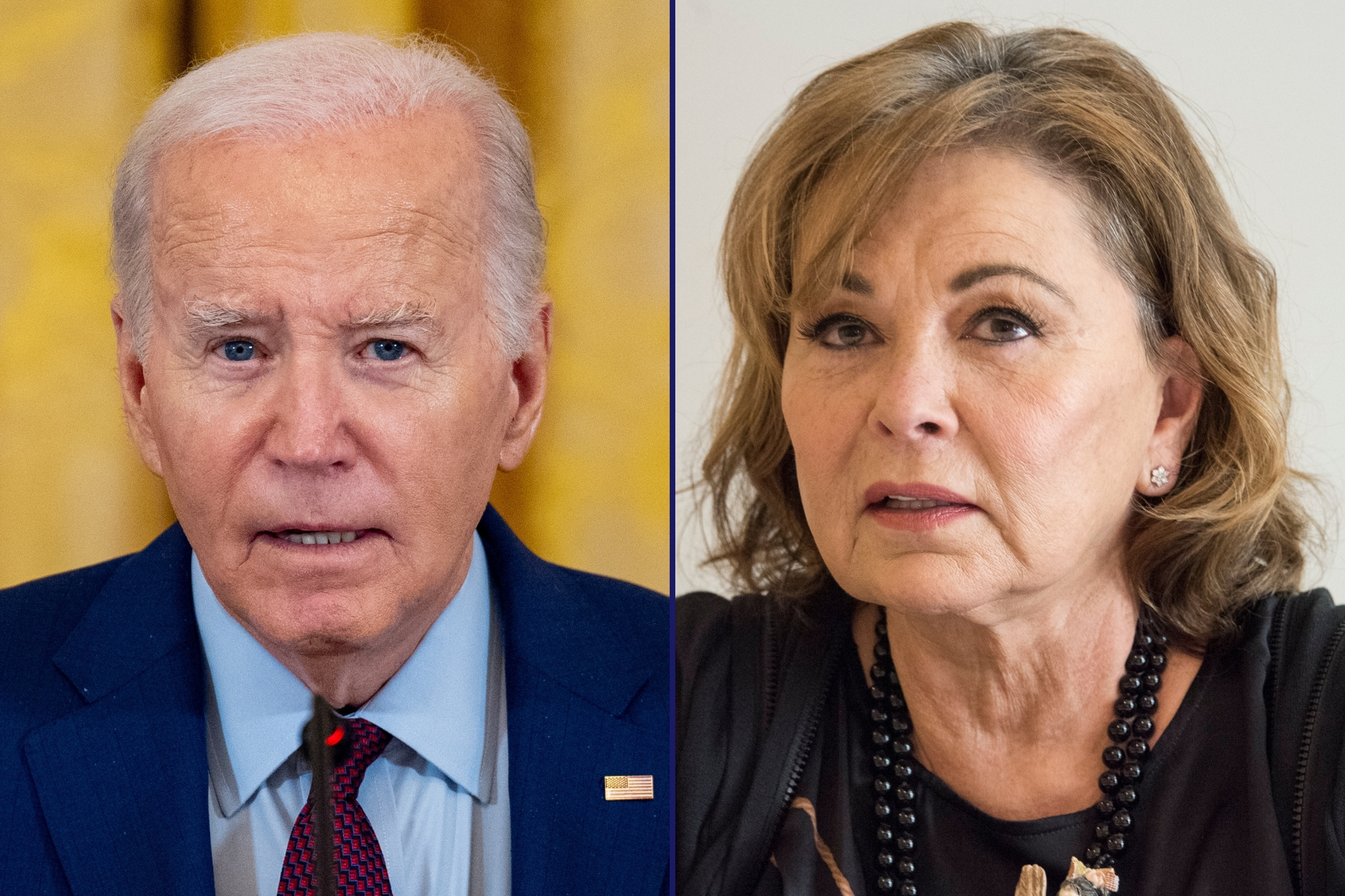 Photo: Roseanne Barr's Biden Video Spark Online Fury