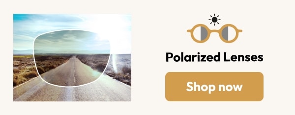 Polarized Lenses