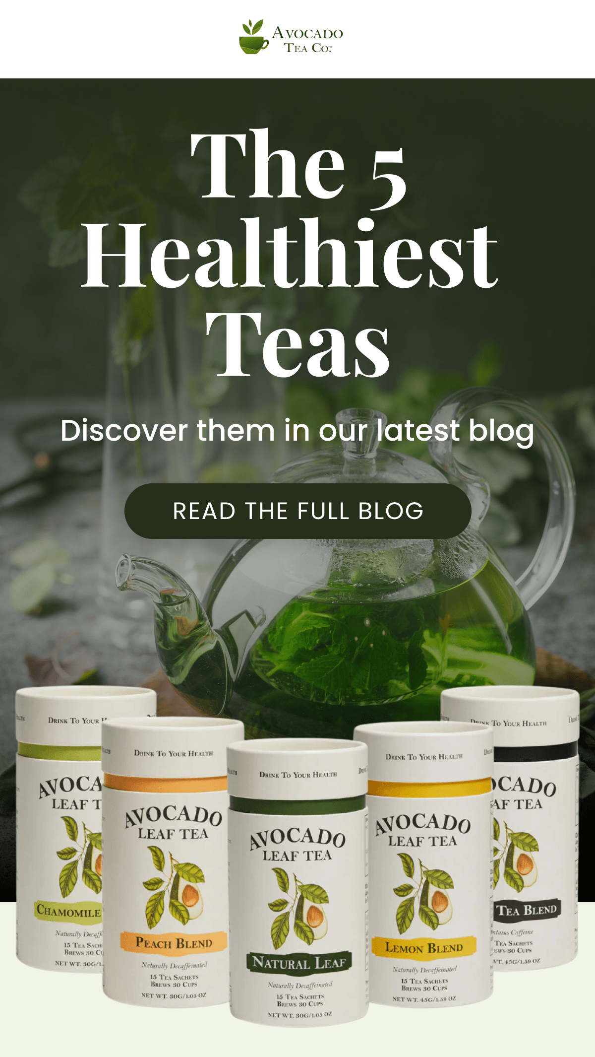 The 5 Healthiest  Teas Discover them in our latest blog