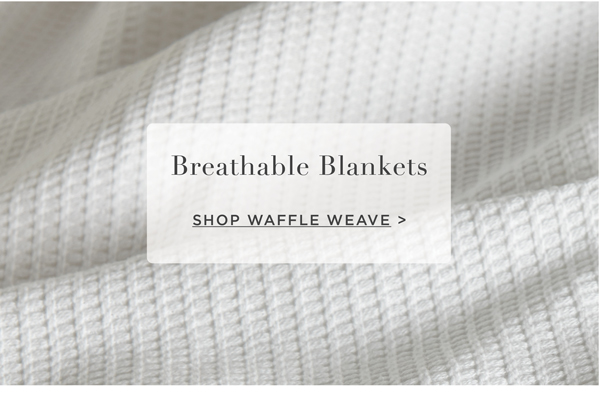 Shop Blankets