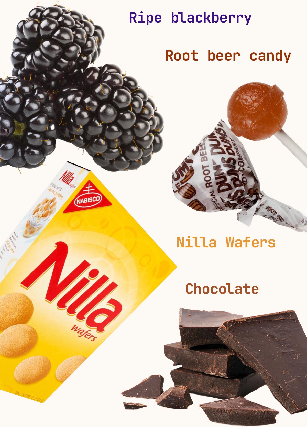 Ripe Blackberry, Root beer candy, Nilla Wafers, Chocolate.