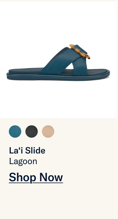 La'i Slide - Lagoon