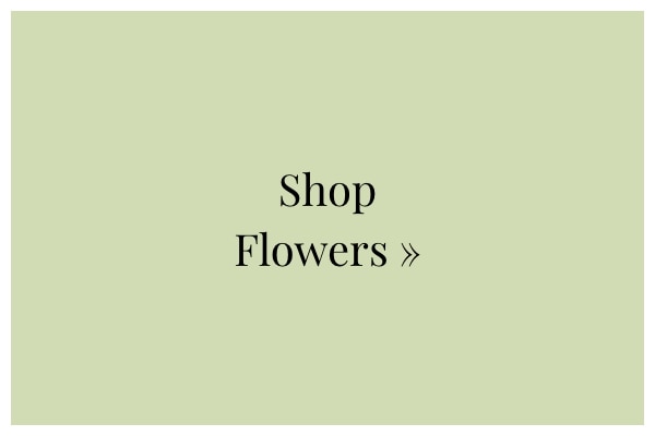 Shop Flowers »