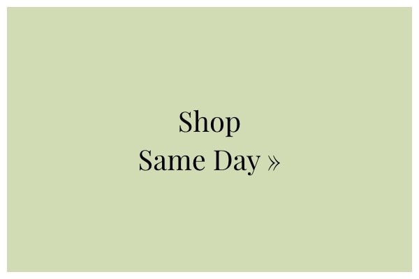 Shop Same Day »