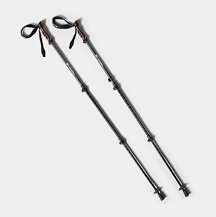 Trekking poles.