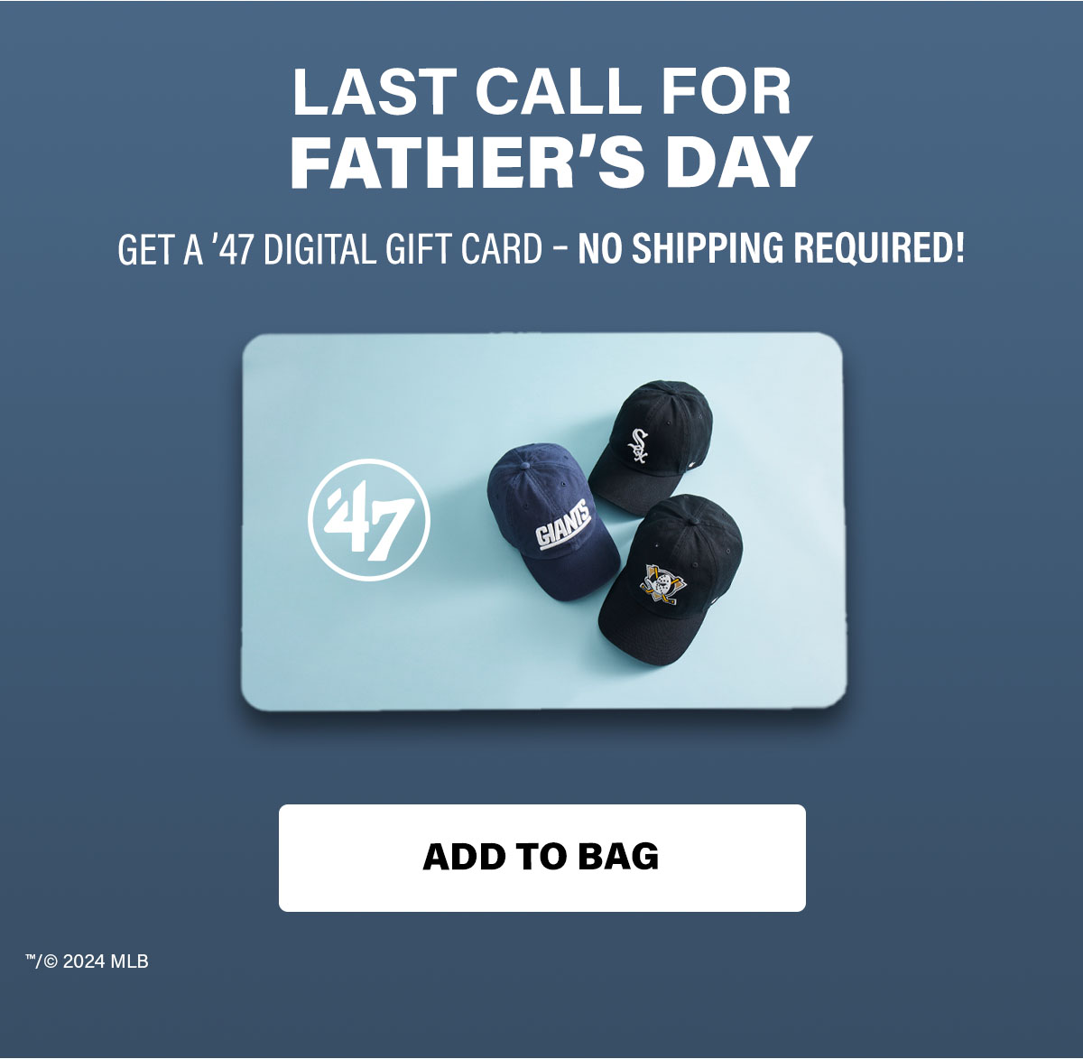 LAST CALL FOR FATHER'S DAY GET A '47 DIGITAL GIFT CARD - NO SHIPPING REQUIRED! ADD TO BAG