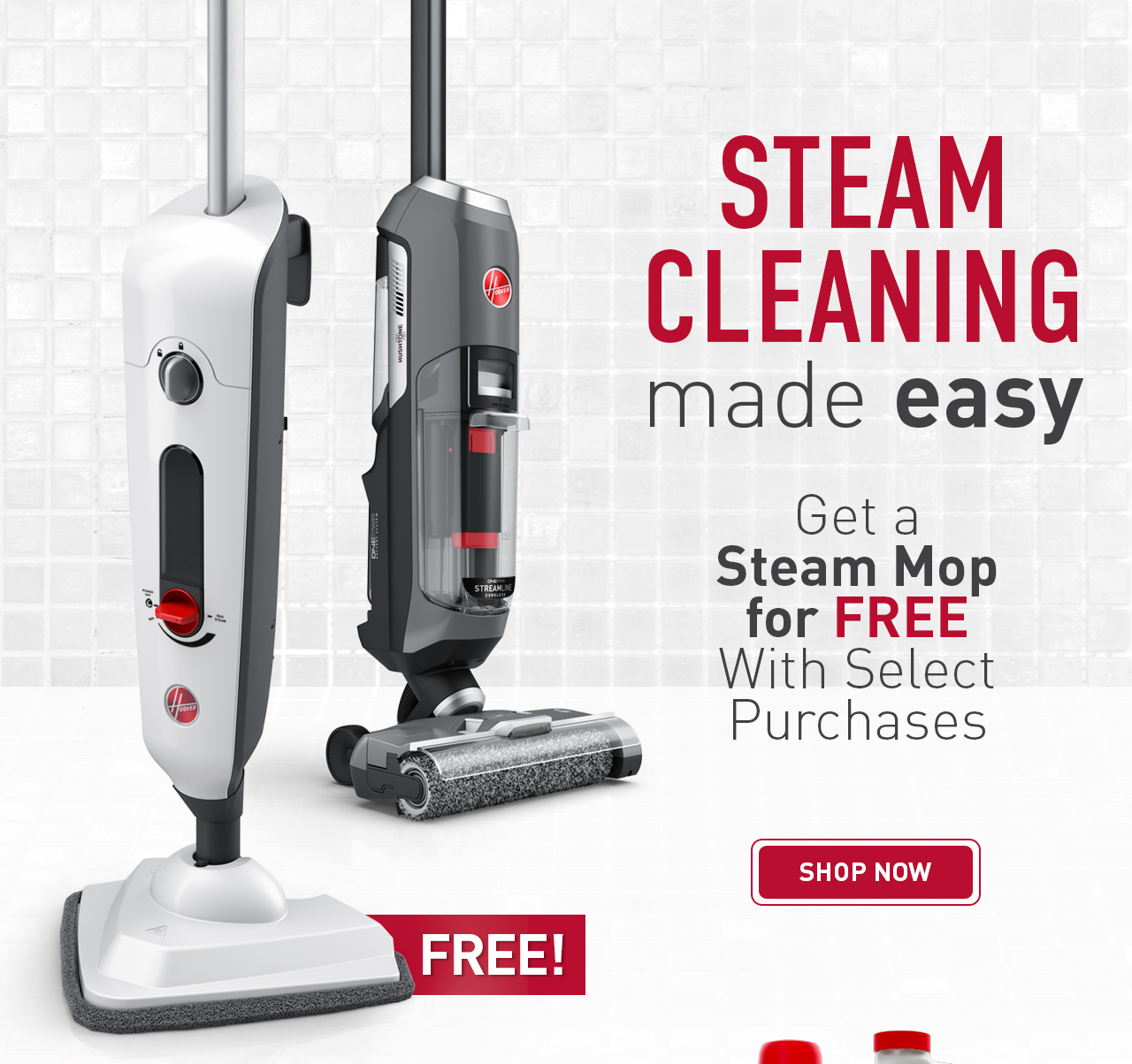 Steam Cleaning made easy