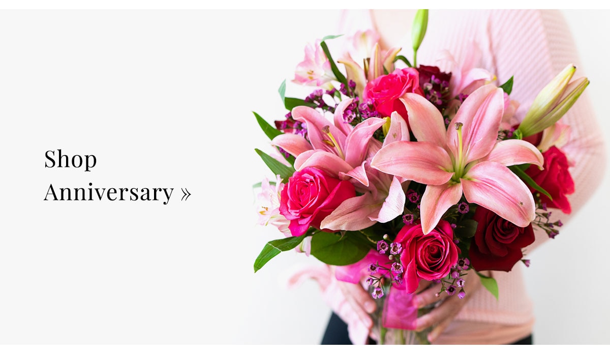 Shop Anniversary »