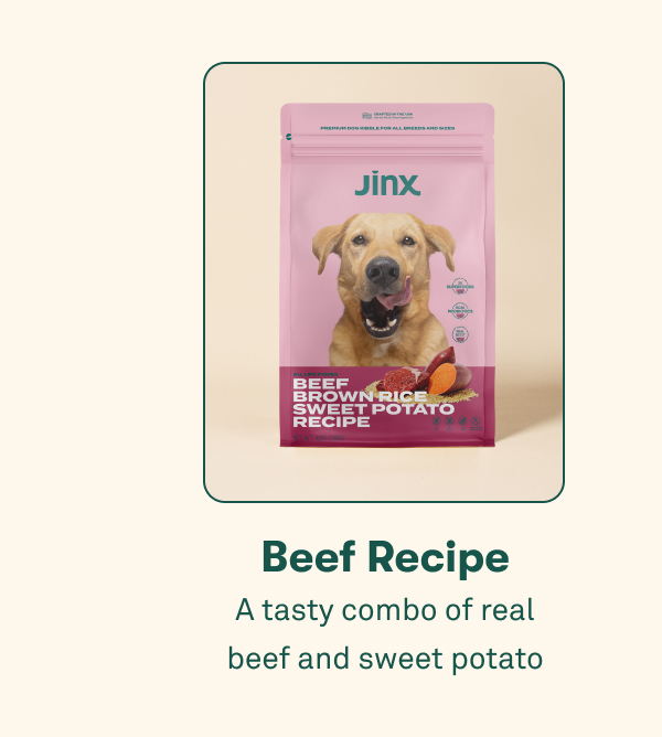 Beef kibble