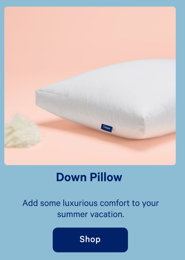 Down Pillow >> Shop >>