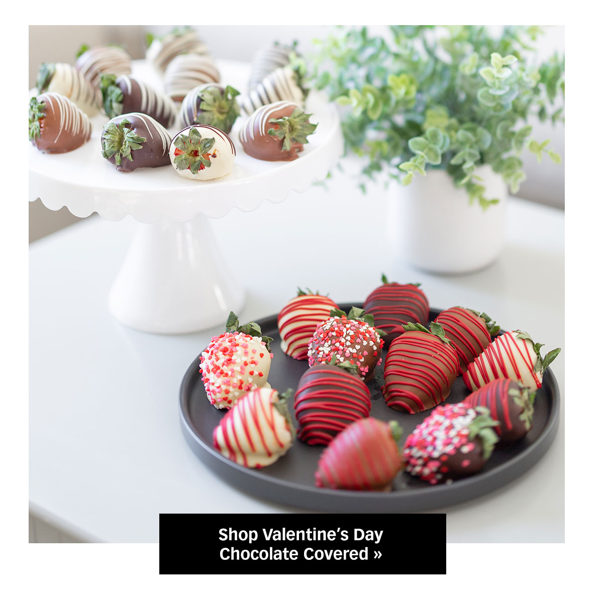 Shop Valentine’s Day Chocolate Covered »