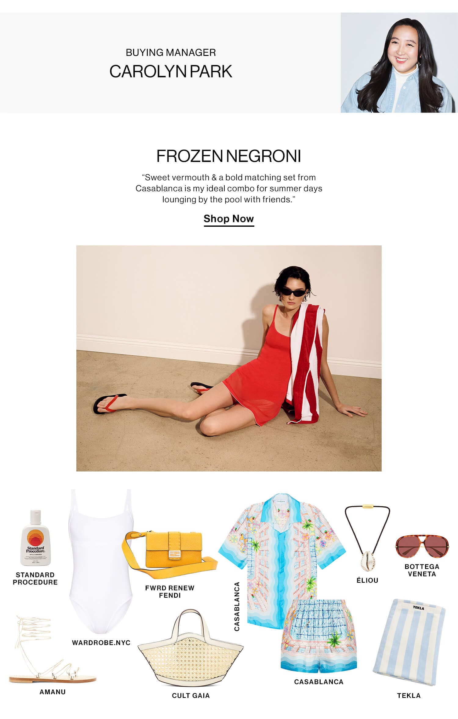 Buying Manager, Carolyn Park. Frozen Negroni. “Sweet vermouth & a bold matching set from Casablanca is my ideal combo for summer days lounging by the pool with friends.” Shop Now 