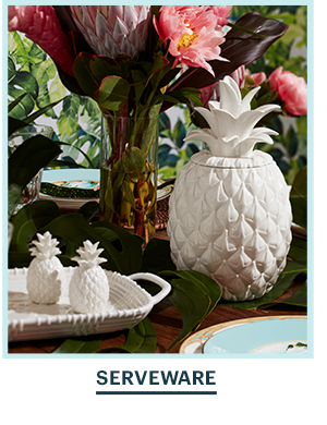 SERVEWARE