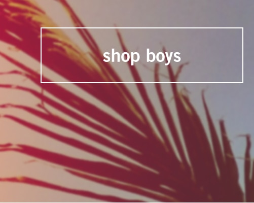 shop boys