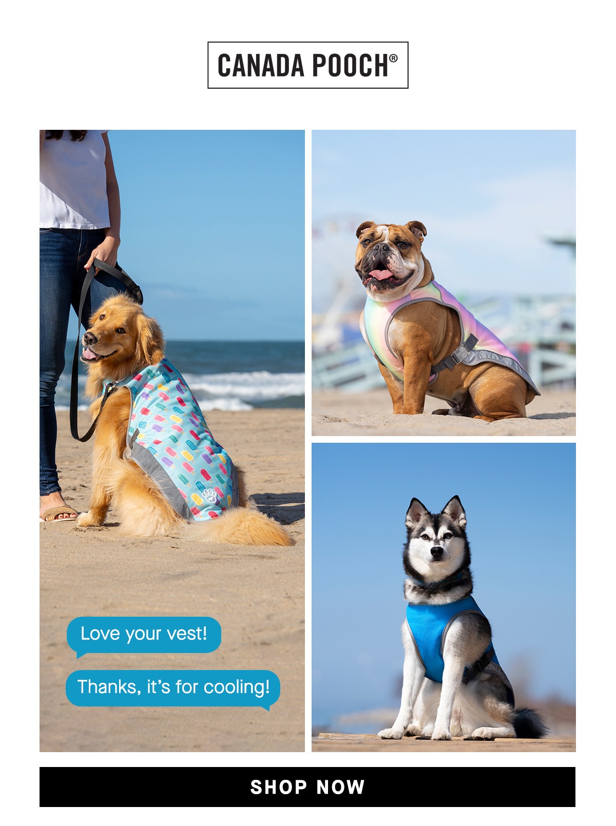 Gif of three different dogs each wearing a cooling vest. One wears a pink cooling vest, one wears a blue cooling vest, and one wears a popsicle patterned cooling vest.