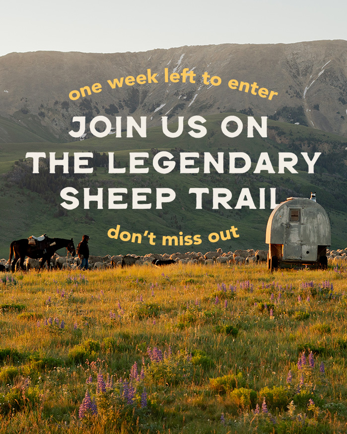 sheep trail sweepstakes