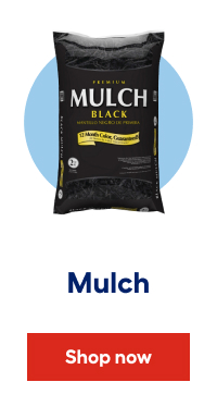 Mulch